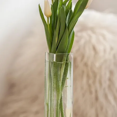 Piano זקופאנה